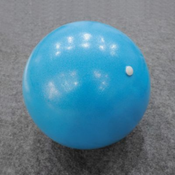 Yoga/Pilates Ball